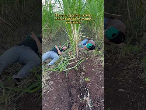 Acho que tinha que fazer alguma coisa 😂😂..#agro #caipira #viral #comedia #fazenda #roça #humor