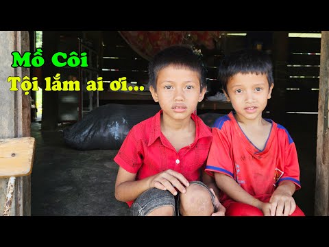 Tin Vui Đến Hoàn Cảnh Các Cháu Bé Mồ Côi Cả Cha Lẫn Mẹ