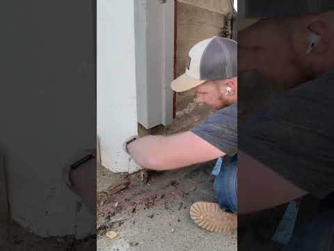Door Frame Patch #tips #woodworkingadvice #carpentry #carpenter #woodworkingtips #tipsandtricks