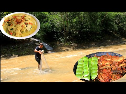 Rebung dikebun mulai tumbuh, masak rebung santan dan njala ikan disungai Tenggulun