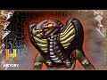 Ancient Egyptian Afterlife and The Book of the Dead