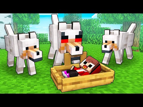 Baby JJ Adopted by Wolves - Sad Story - Maizen Minecraft Animation