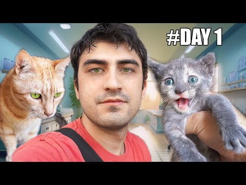 HELPING A STRAY CAT GIVE BIRTH ON MY WAY HOME ( stray cat giving birth ) newborn kitten care