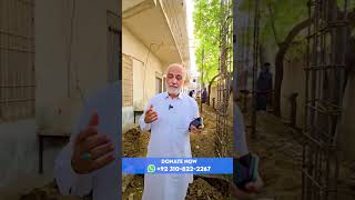 Sarim Burney Trust | Shelter Home Construction #shelterhome #shorts