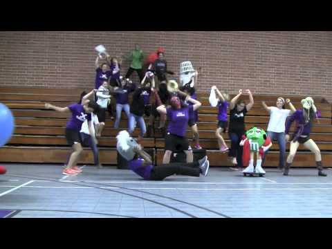 Fighting Koalas Harlem Shake thumbnail