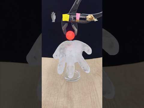 Which Item is Most Satisfying?#satisfying#foryou#experiment