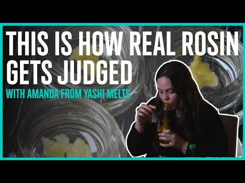 How to Judge Rosin Like a Pro | Amanda from Yashi Melts