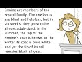Understanding the Ermine