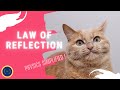 Law of Reflection Concepts