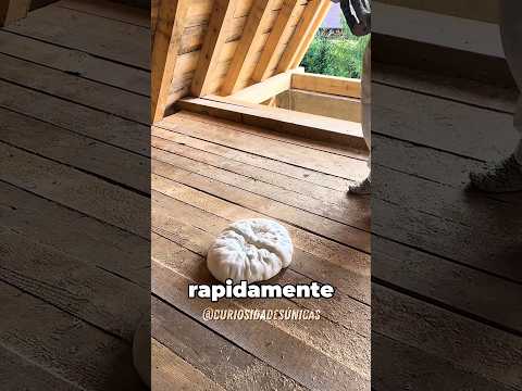 O perigo dos isolamentos em spray! 😳 #curiosidades #fatoscuriosos #shorts