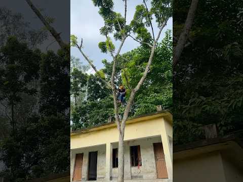 আমি সব সময় সহজ স্ট্যান্ট করি😃 #ytshorts #foryou #craft #stunt #reels #shorts #viralvideo #rs_yasin
