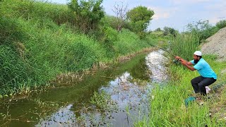 "SIMPLE SETUP, ONE HARD DAY, TINY HOOKS BIG CATCHES "SOME TYPE OF FISHES IN VILLAGE STREAM"BAAMFISH