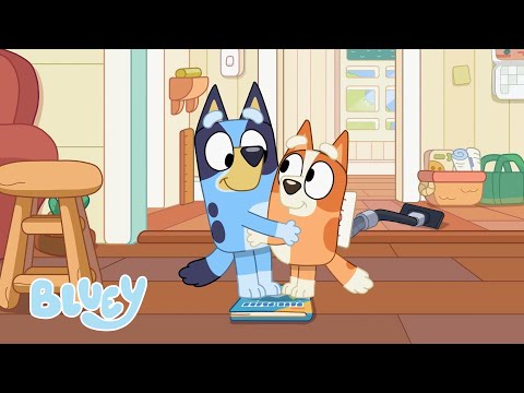 Il est temps de poursuivre les aventures de Bluey | Bluey Français Chaîne Officielle