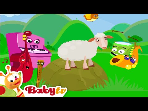Sluit je aan bij de Jammers en speel muziek! ​🎺​🎹​ | leuke video's voor peuters @BabyTVNL