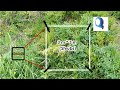 Quadrate Sampling in Vegetation Studies