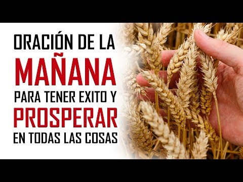 ORACION DE LA MAÑANA 🙏 PARA TENER EXITO 🤴 Y SER PROSPERO 💰 EN TODO LO QUE EMPRENDAS