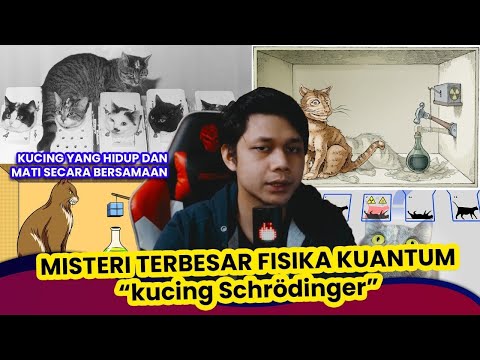 Misteri Yang Belum Terpecahkan Sampe Saat Ini - Teori Kucing Schrödinger