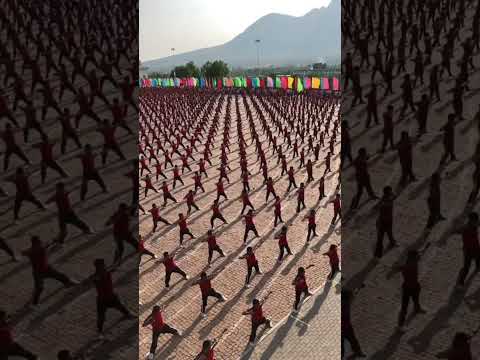 The most spectacular kungfu school#boxing