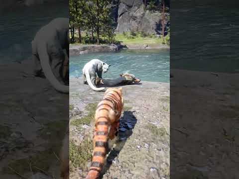 Great Survival Skills vid461