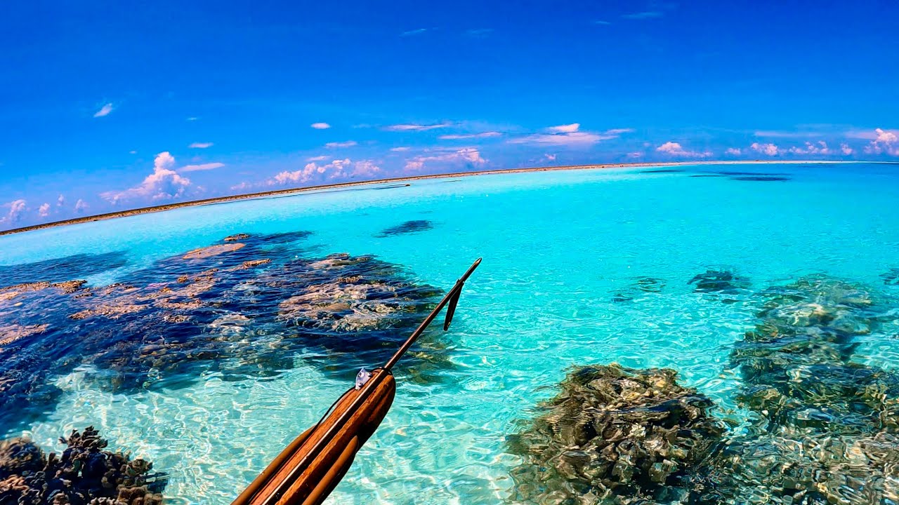 Spearfishing Alone in Mysterious Lagoon - Cavy Fishing