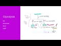 Pyruvate Oxidation and Glycolysis Concepts