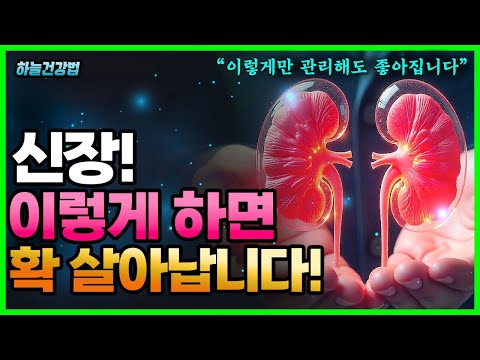 병든 신장 좋아지게 하는 음식, 지압! 신장이 나빠지는 근본적인 이유