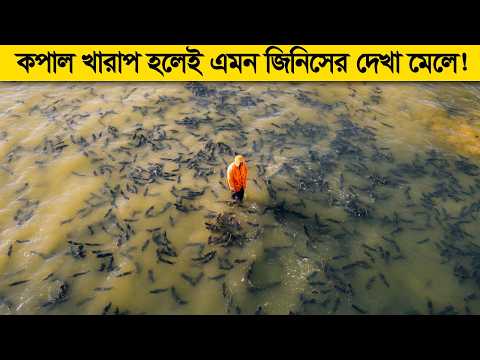 ইন্টারনেট থেকে সরিয়ে ফেলা কিছু ভিডিও ! যার দেখা আপনি আর কখোনোই পাবেন না !