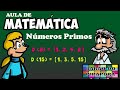 Números Primos e Divisores