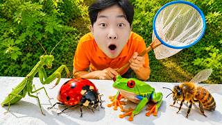 Yejun's Insects for Kids, Learn about Bug Name with Educational Video