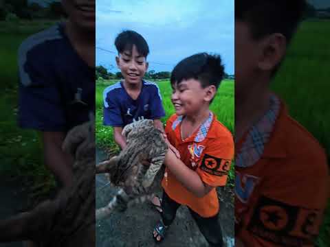 Hậu trường hát : meo meo meo rửa mặt như mèo 😼 hài hước ! #shorts