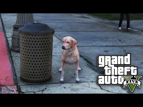GTA 5 SP #19 - Life of.. An Animal
