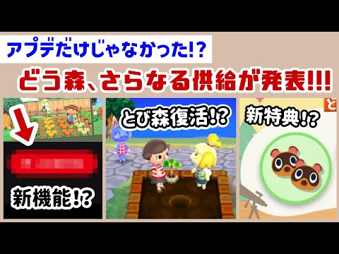 アプデだけじゃなかった！？どう森、さらなる新供給が発表！！あつ森＆とび森に関する新展開をまとめてみた！【あつまれ どうぶつの森】@レウンGameTV