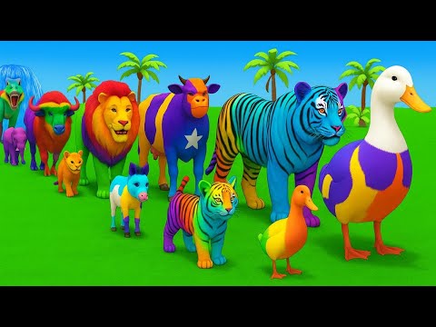 Long Slide Game With Cow Elephant Gorilla Hippopotamus Tiger - 3d Animal Game - Funny 3d Animals