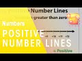 Understanding Positive Number Lines