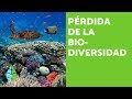 Cuestionario sobre la Pérdida de Biodiversidad