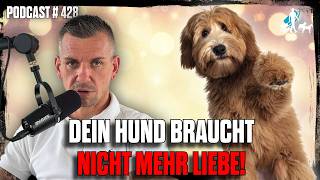 Die Verantwortung, die niemand hören will!