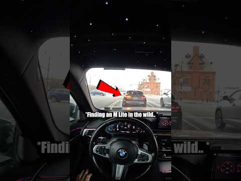Why does every BMW M-lite do this.. #shorts