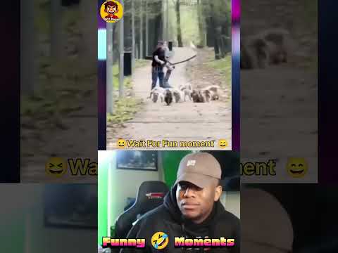 Try not to laugh challenge 🤣 Pkgpagol Fun Moment #viralvideo #funny #pkgpagol #comedy #sorts #memes