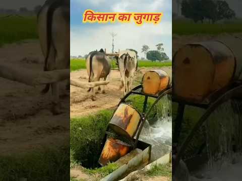 कुएं से पानी निकालने का देसी जुगाड़ ? बिना मोटर के पानी कैसे निकाले? ?#shorts #shortsvideo