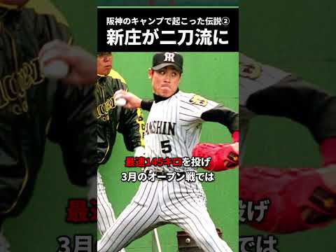 【驚愕】阪神の春季キャンプで起こったとんでもない伝説3選【春季キャンプ2023】