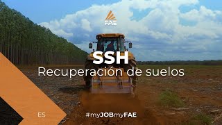 Video - FAE SSH - SSH/HP - Tres subsoladoras forestales FAE SSH manos a la obra en la tierra naranja de Brasil