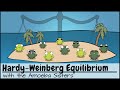 Hardy Weinberg Equilibrium Concepts
