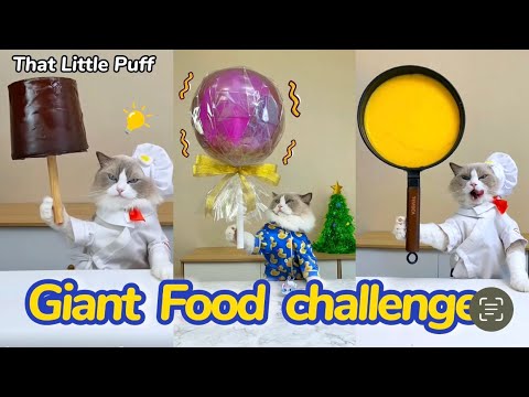 Giant Food Challenge | That Little Puff