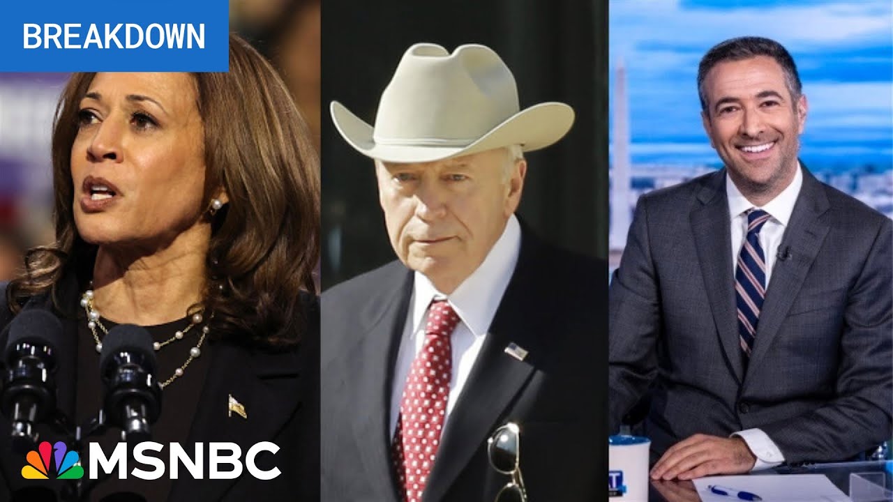 Georgia 2024 ‘early vote’ smashes records, as Harris hits Trump with GOP teammates