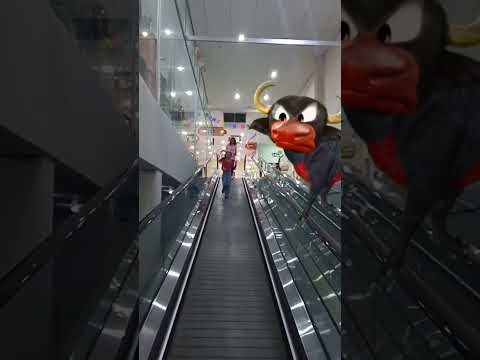 Mazinha e o boi da cara preta no shopping ??? #shorts