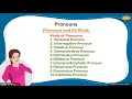 Types and Functions of Pronouns
