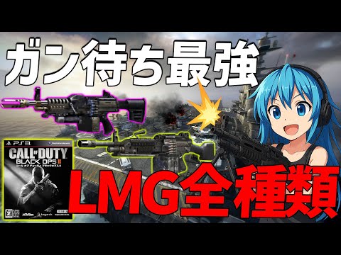 【BO2武器】芋ガン待ち最強LMG全部紹介！！