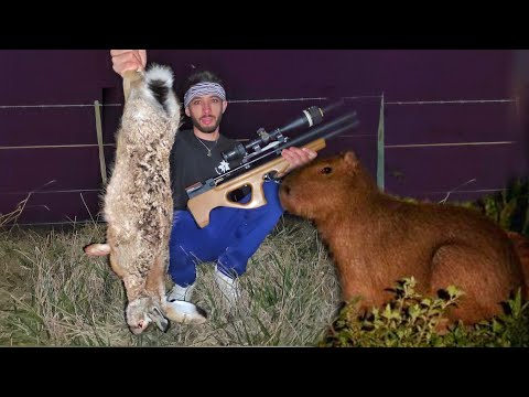 MIRA QUE CACERÍA!! CAZA DE LIEBRE🐇🐇, PERDIZ.. BUSCANDO LOS CARPINCHOS. Así terminamos