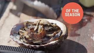 Gotta Love Tassie Seafood.  Abalone