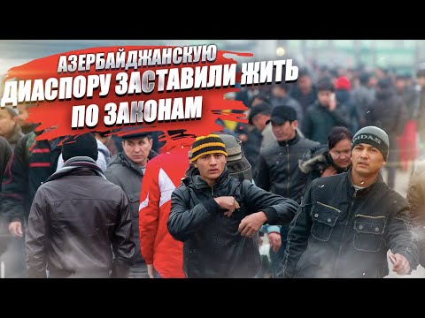 Диаспору заставили вернуть деньги государству! Закон восторжествовал!